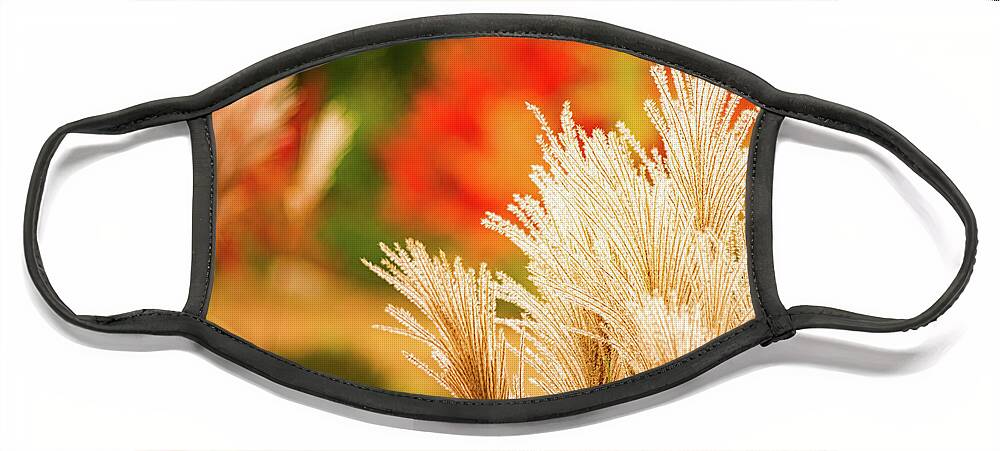 New Hampshire Face Mask featuring the photograph Golden Autumn Grass by Jeff Sinon