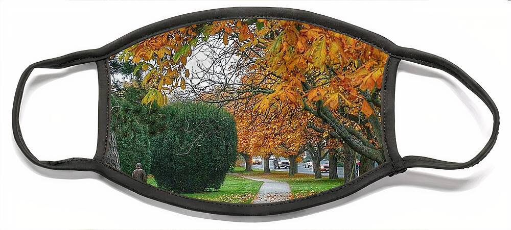 Trees Face Mask featuring the photograph Golden Canopy by Kimberly Furey