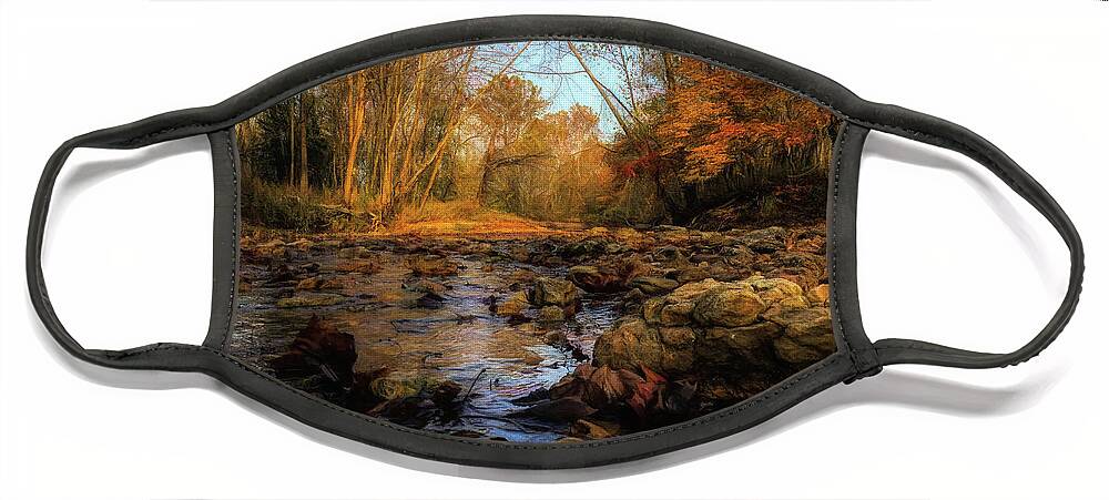 Nature Face Mask featuring the photograph Golden Creek by Linda Shannon Morgan