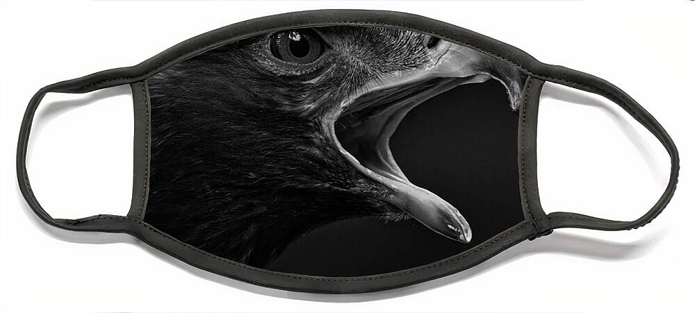 Golden Eagle Face Mask featuring the photograph Golden Eagle Dramatic Portrait by Sue Harper