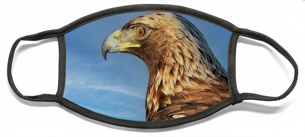 Bird Face Mask featuring the photograph Golden Eagle Portrait by Beth Sargent