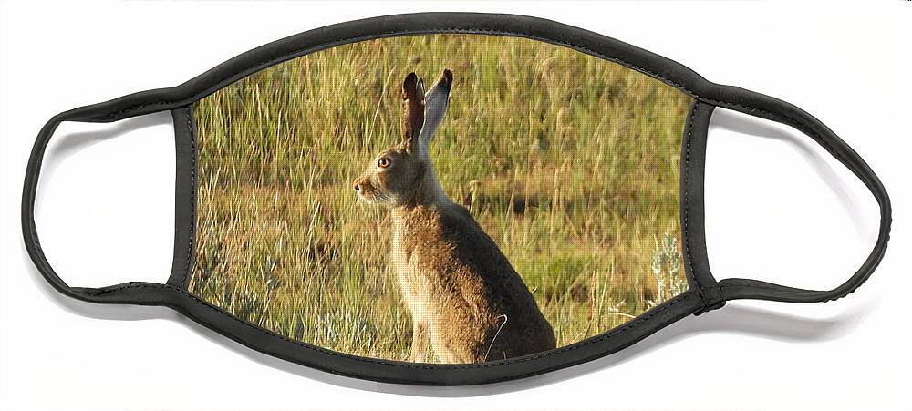 Rabbit Face Mask featuring the photograph Golden Eye by Amanda R Wright