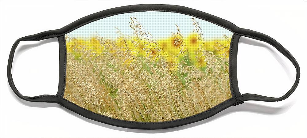 Sunflower Face Mask featuring the photograph Golden Horizon by Lens Art Photography By Larry Trager