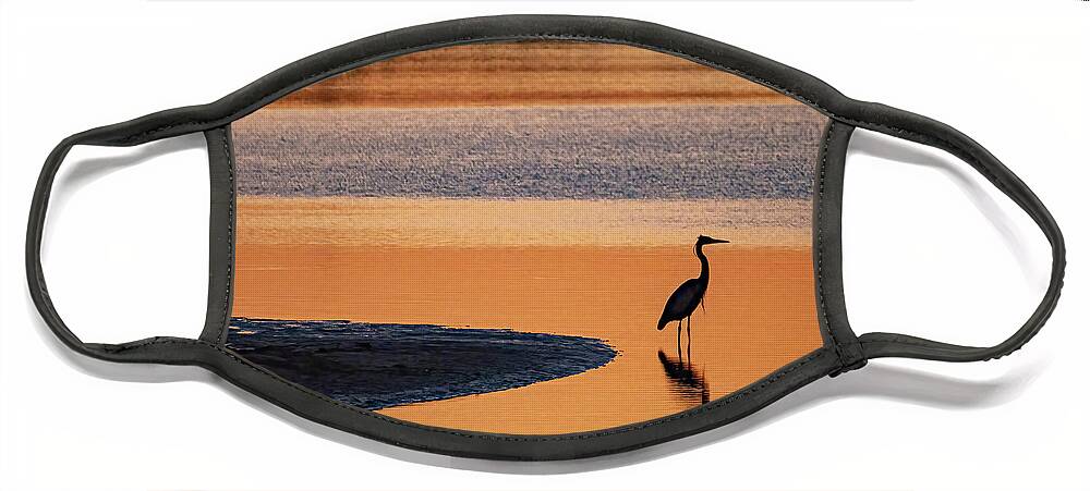 Sunrise Face Mask featuring the photograph Golden Morning by Jerry Connally