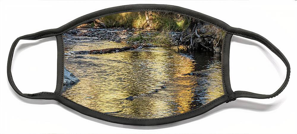 Landscape Face Mask featuring the photograph Golden Morning by Sandra Bronstein