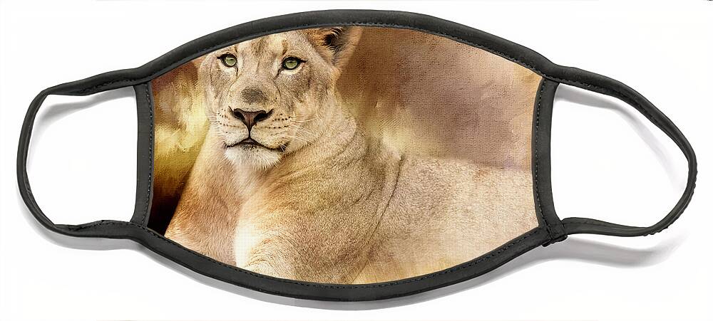 Lioness Face Mask featuring the photograph Golden Plains Lioness by Ed Taylor