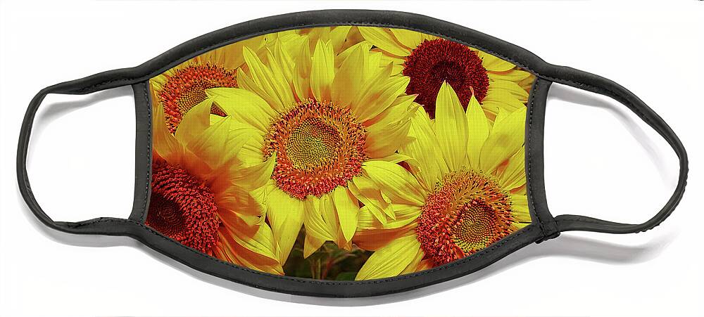 Sunflowers Face Mask featuring the photograph Golden Sunflowers by George Harth