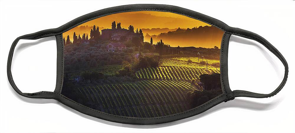 Italy Face Mask featuring the photograph Golden Tuscany by Evgeni Dinev