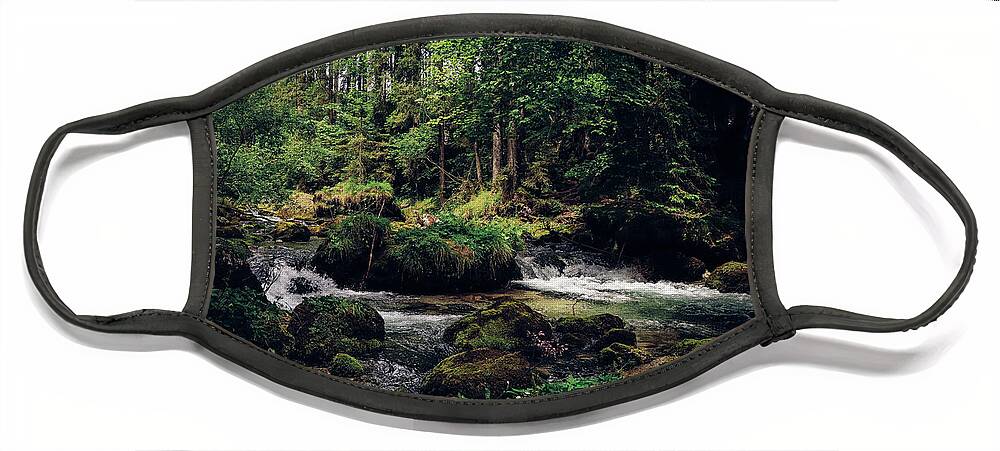 Path Face Mask featuring the photograph Gollinger Wasserfalls by Vaclav Sonnek