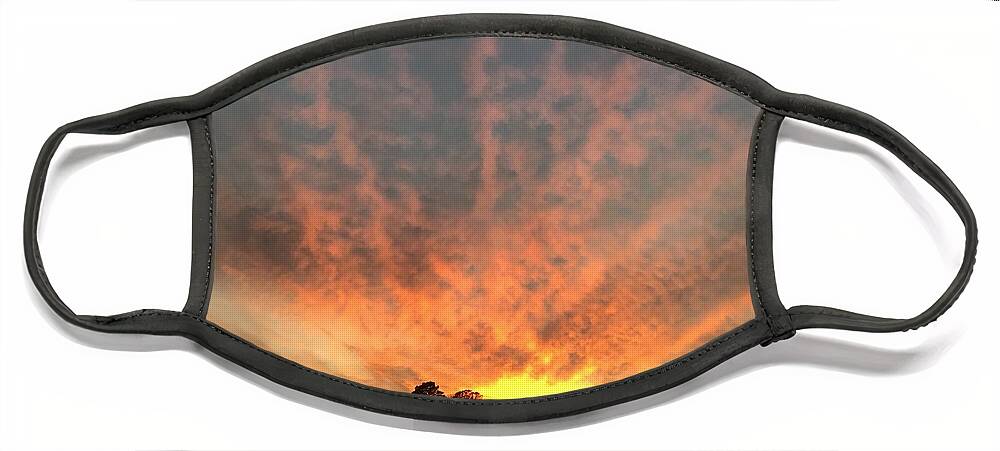 Sunset Face Mask featuring the photograph Good Evening Sunset by Catherine Wilson