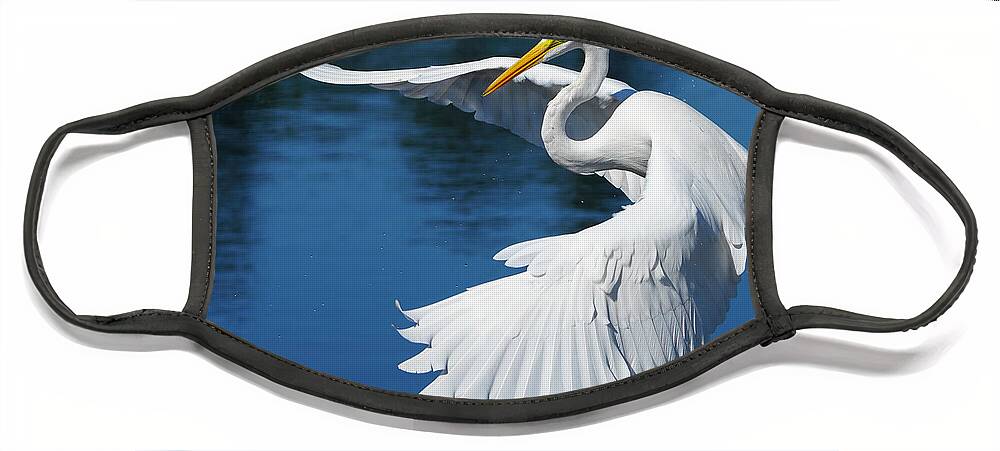 Birds Face Mask featuring the photograph Graceful Great Egret by Larry Marshall
