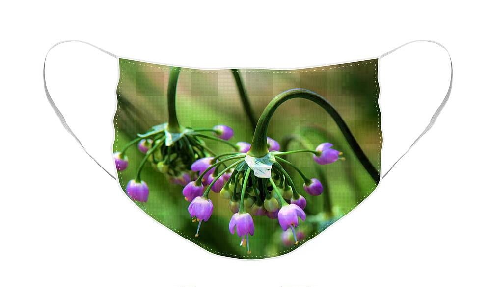 Allium Face Mask featuring the photograph Graceful Stem and blooms by Kae Cheatham