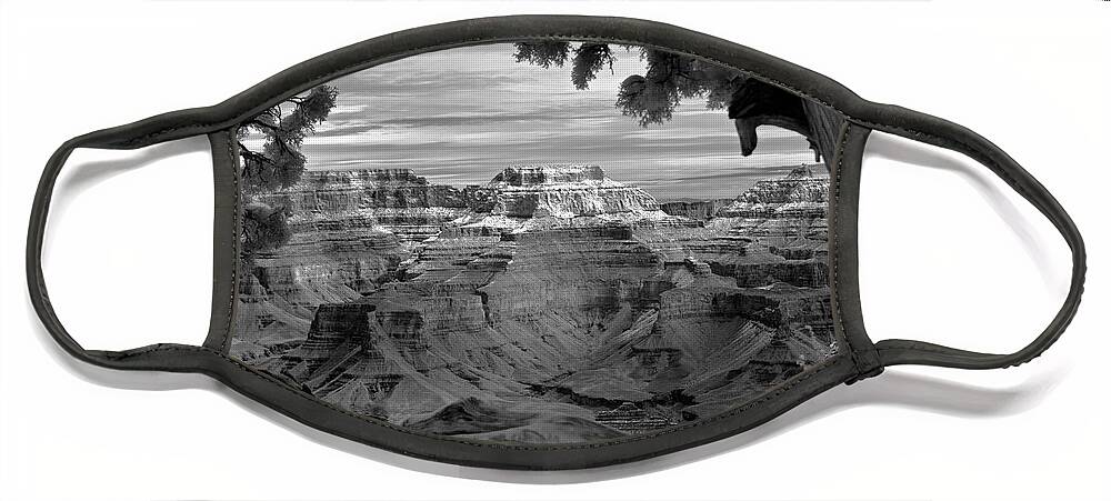 Grand Canyon Face Mask featuring the photograph Grand Canyon Framed By Tree  by Martin Konopacki