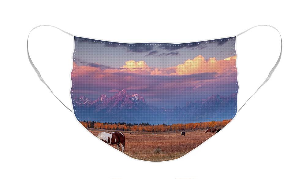 Grand Tetons Face Mask featuring the photograph Grand Teton Pasture by Wesley Aston