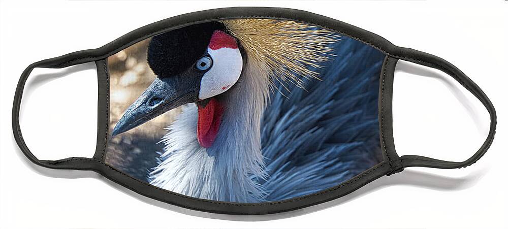 Crane Face Mask featuring the photograph African Gray Crown Crane Fluff by Rene Vasquez