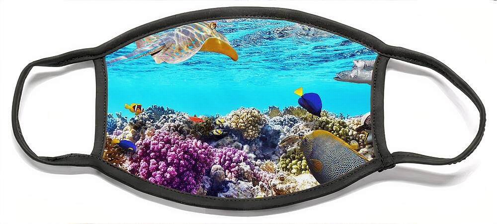 Fish Face Mask featuring the photograph Great Barrier Reef Fish And Corals by Beautiful Nature Prints