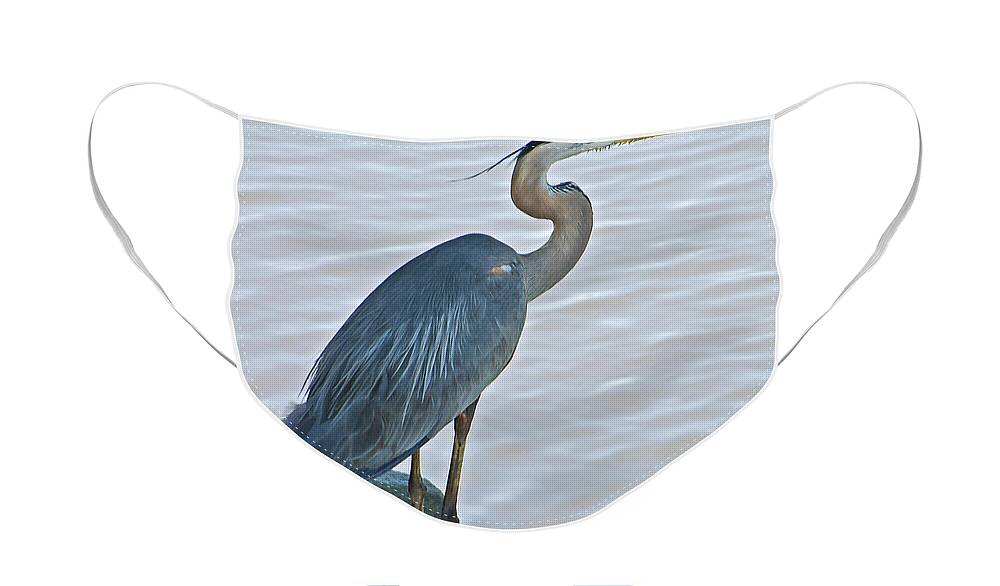 Great Blue Heron Portrait Face Mask For Sale By Suzanne Gaff