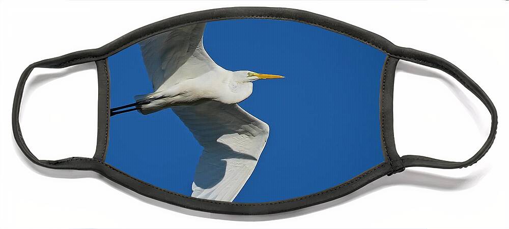 Blue Face Mask featuring the photograph Great Egret In Flight by Steve DaPonte