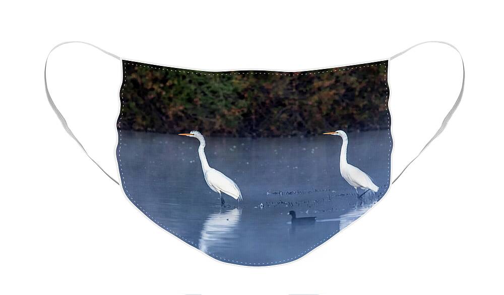 Great Egrets Face Mask featuring the photograph Great Egrets in the Mist 3443-011020-2 by Tam Ryan