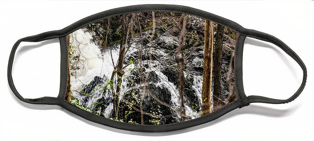 Great Falls Face Mask featuring the photograph Great Falls - Rockingham 01 by Flees Photos