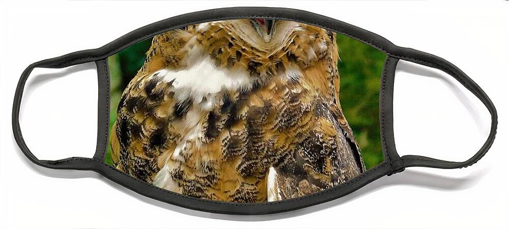 - Great Horned Owl 2 Face Mask featuring the photograph - Great Horned Owl 2 by THERESA Nye