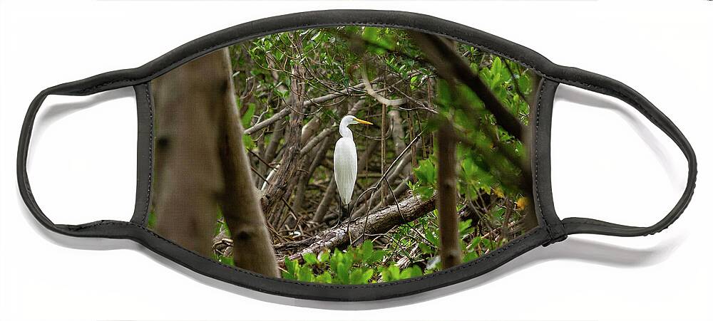 Florida Face Mask featuring the photograph Great White Heron Horizontal by Marian Tagliarino