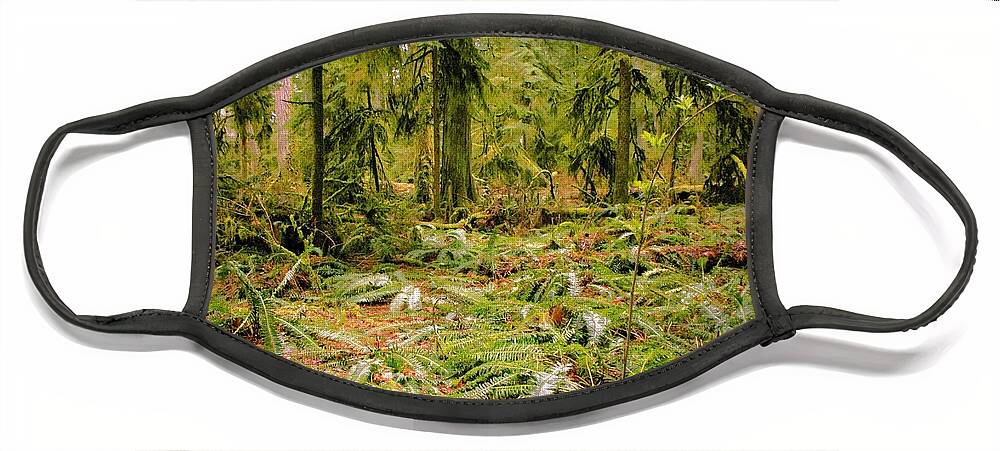 Ferns Face Mask featuring the photograph Green Carpeting by Kimberly Furey