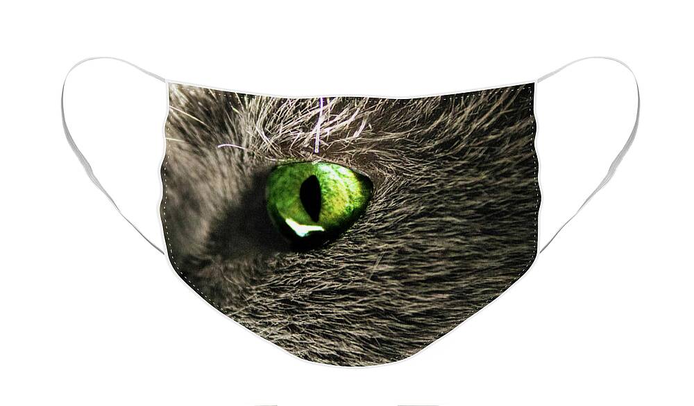  Face Mask featuring the photograph Green Cats Eye by Nicole Engstrom
