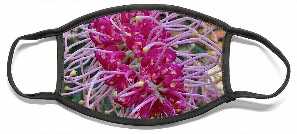 Grevillea Face Mask featuring the photograph Grevillea by Sheila Smart Fine Art Photography
