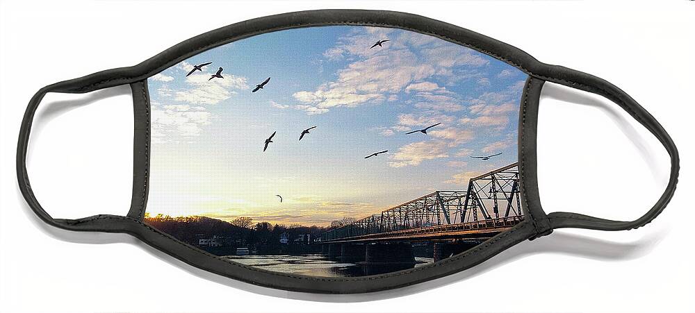 +pixels Face Mask featuring the photograph Gulls at the Bridge #2 by Christopher Plummer