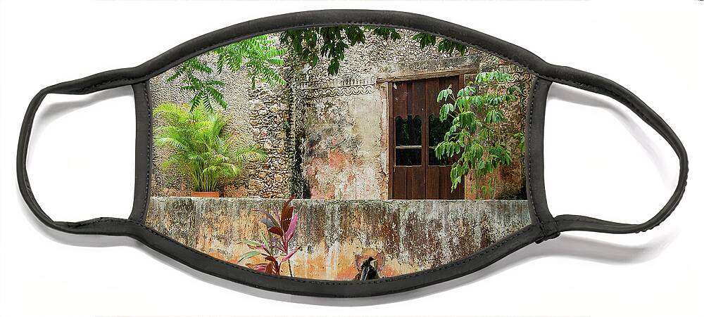 Hacienda Ochil Face Mask featuring the photograph Hacienda Ochil Wall by William Scott Koenig