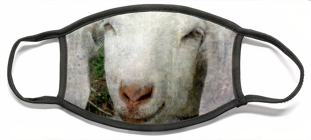 Goat Face Mask featuring the photograph Happy Day by Jodie Marie Anne Richardson Traugott     aka jm-ART