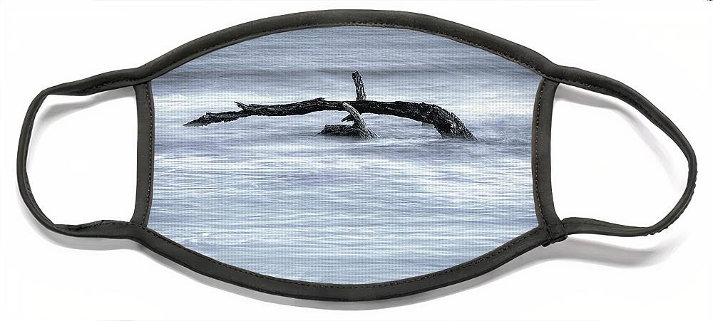 Nature Face Mask featuring the photograph Harmonious Driftwood II by DB Hayes