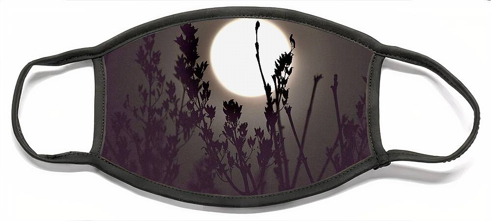 Full Moon Face Mask featuring the photograph Harvest Moon Risin' by Debra Banks