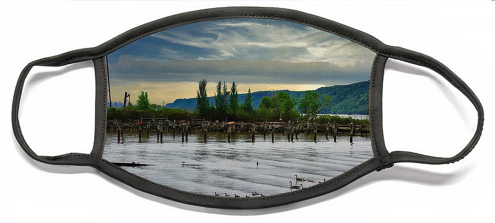Hudson Face Mask featuring the photograph Hastings on Hudson Water Tower Ducks and Eagle by Russ Considine