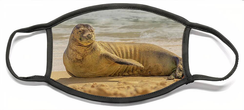 Animal Face Mask featuring the photograph Hawaiian Monk Seal Portrait by Nancy Gleason