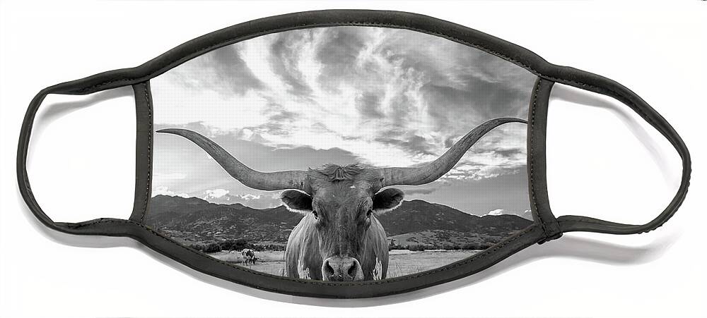 Texas Longhorn Face Masks