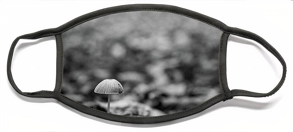 Mushroom Face Mask featuring the photograph Hello there little one by Gavin Lewis