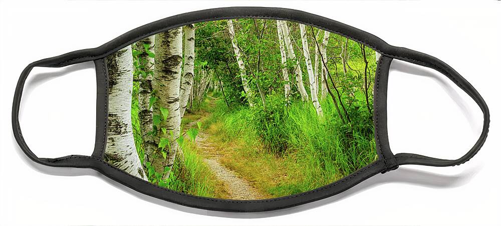Acadia Face Mask featuring the photograph Hemlock Road, Sieur de Monts, Acadia National Park. by Jeff Sinon