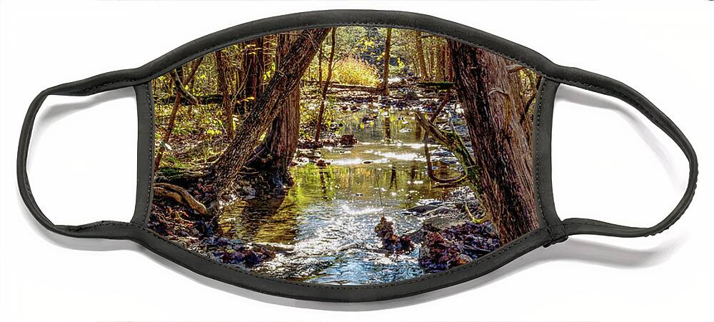 Ruth And Paul Henning Conservation Area Face Mask featuring the photograph Henning Conservation Woody Creek by Jennifer White