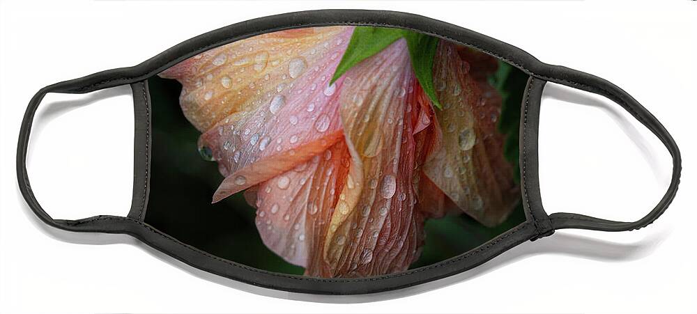 Bloom Face Mask featuring the photograph Hibiscus After Rain by M Kathleen Warren