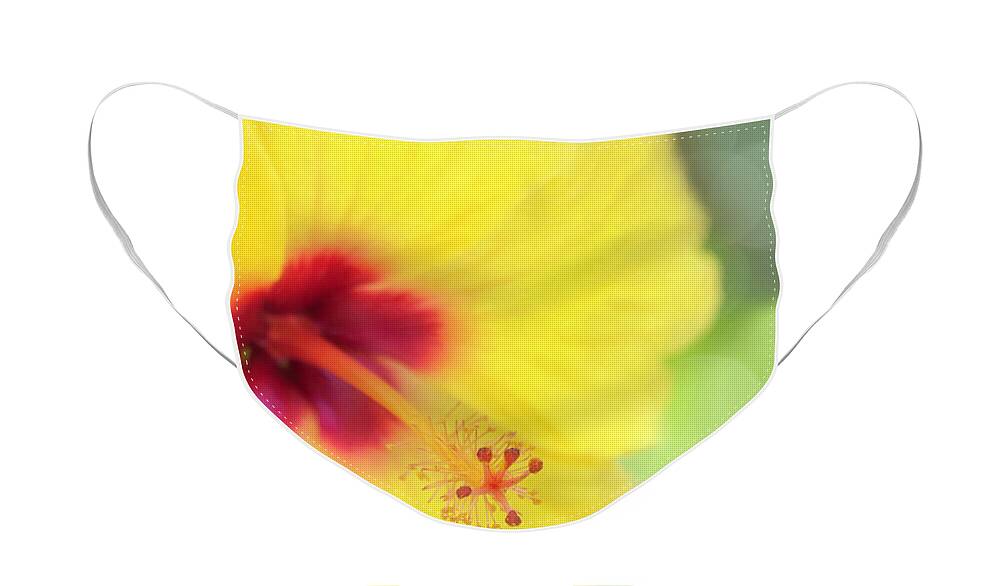 Yellow Face Mask featuring the photograph Hibiscus Dream by Teresa Wilson