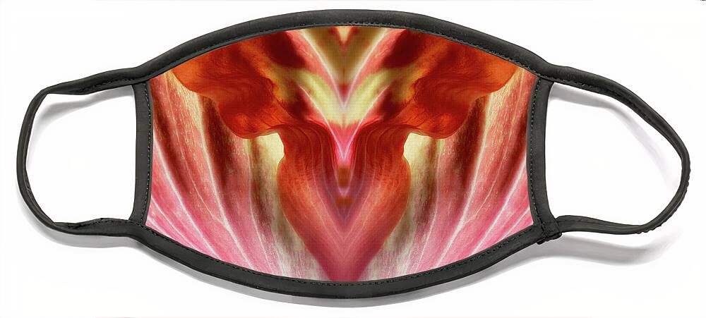 Flower Face Mask featuring the photograph Hibiscus Symmetry by Karen Smale