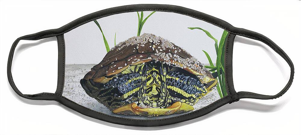 Turtle Face Mask featuring the painting Hiding In by Heather E Harman