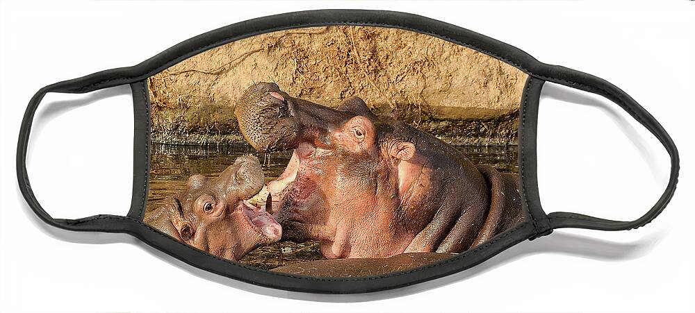 Africa Face Mask featuring the photograph Hippo Mother and Calf by Mitchell R Grosky