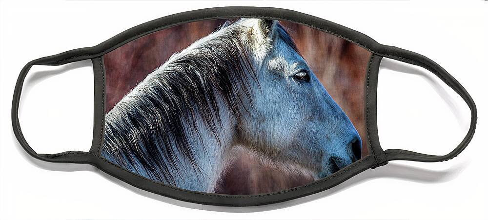 Horse Face Mask featuring the photograph Horse No. 4 by Craig J Satterlee