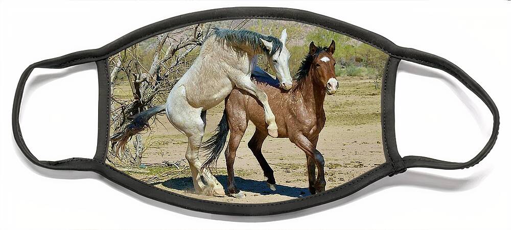 Salt River Wild Horse Face Mask featuring the digital art Horsin Around by Tammy Keyes