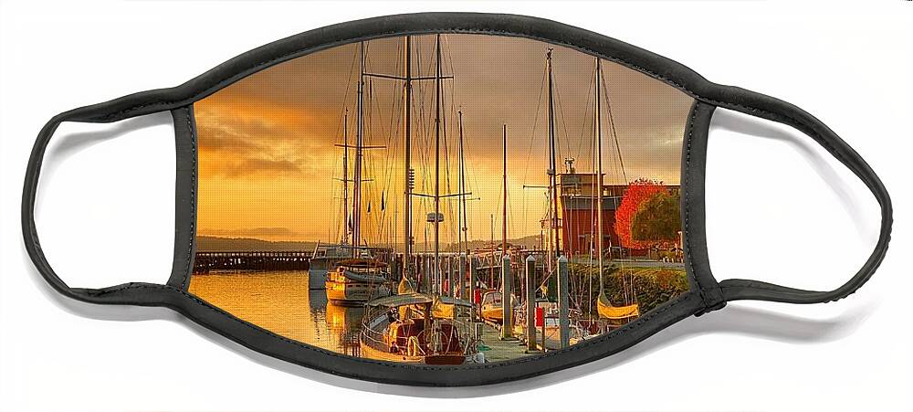 Autumn Face Mask featuring the photograph Hudson Point by Jerry Abbott