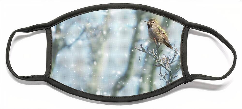 Hummingbird Face Mask featuring the photograph Hummer in Snow by Rebecca Cozart