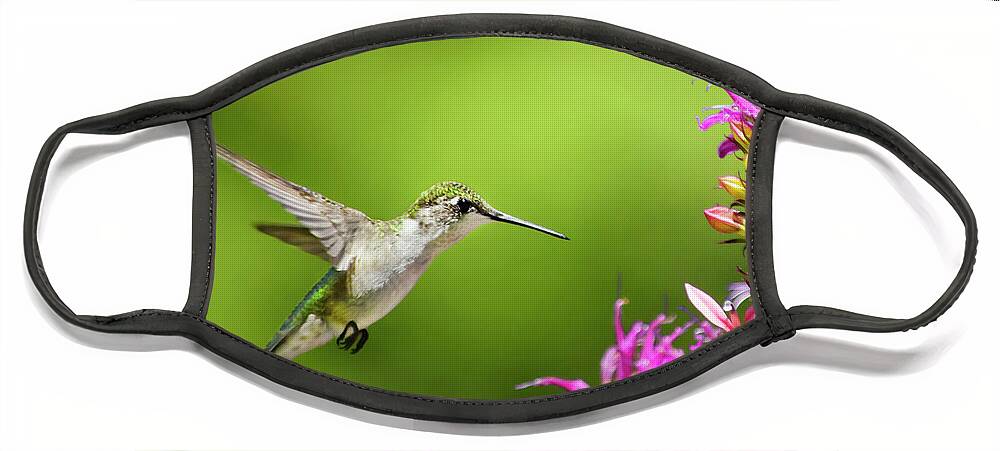 Hummingbird Face Mask featuring the photograph Hummingbird Garden Glory by Christina Rollo